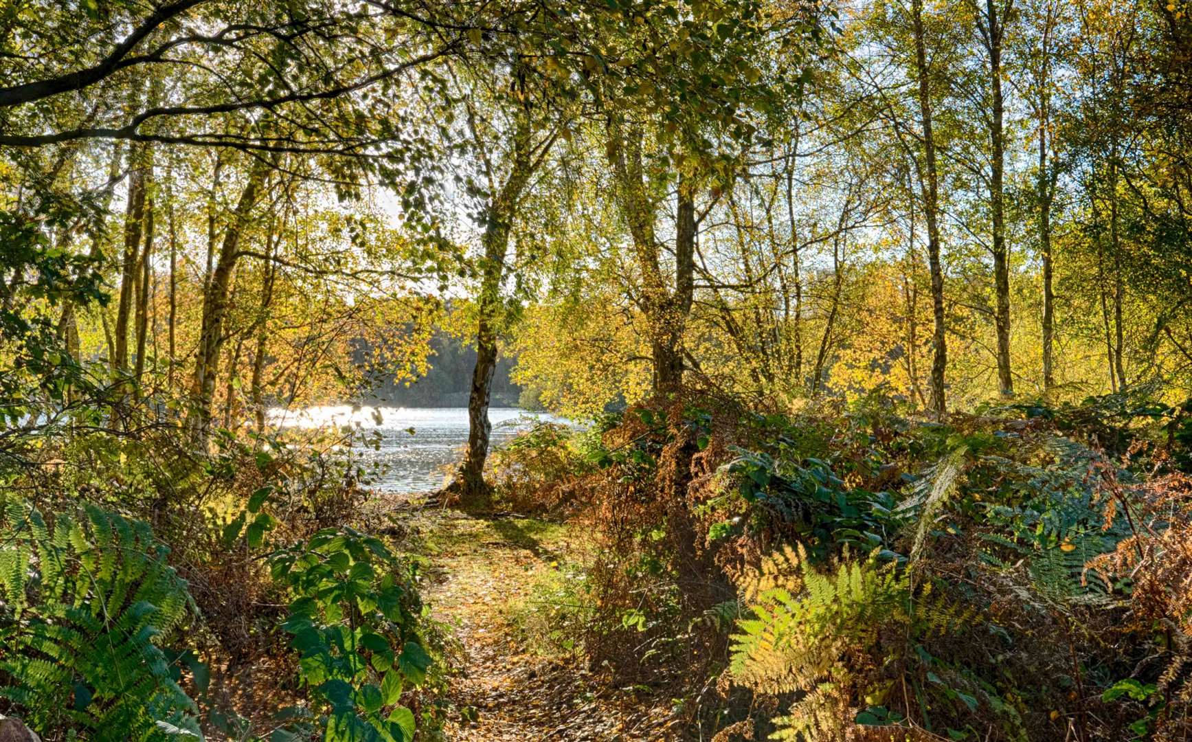 Great Fen Wildlife Trust for Beds, Cambs & Northants